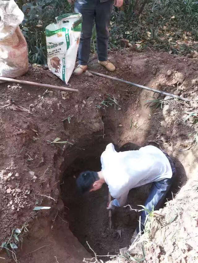 白蟻防治現(xiàn)場